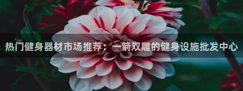意昂2注册