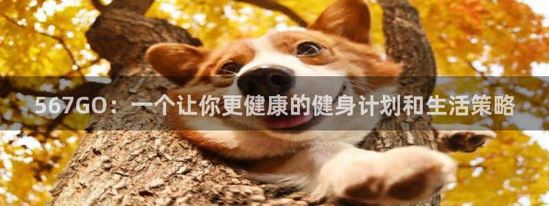 意昂2官方平台