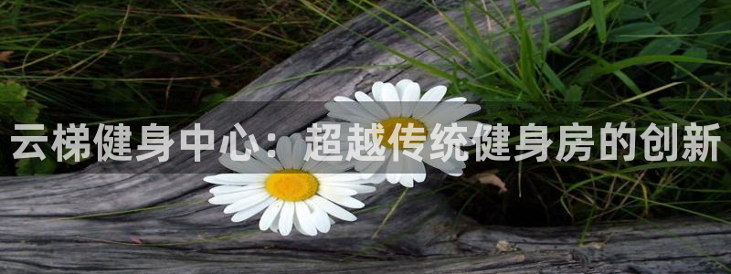 意昂2娱乐